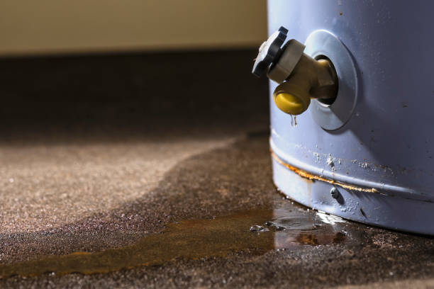 Best Flood restoration services  in Bliss Corner, MA