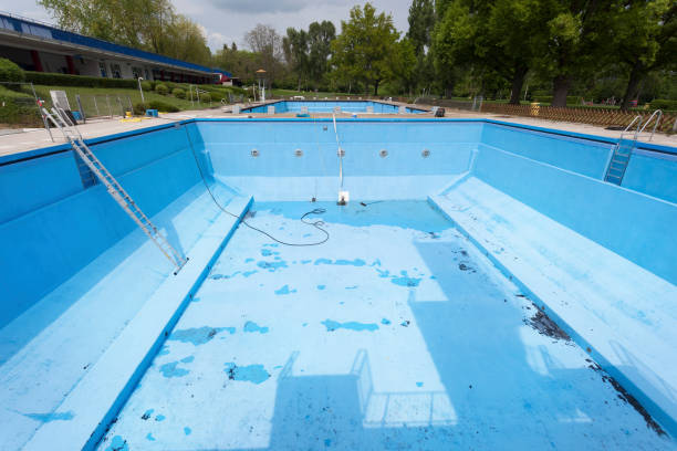 Best Professional water damage repair  in Bliss Corner, MA