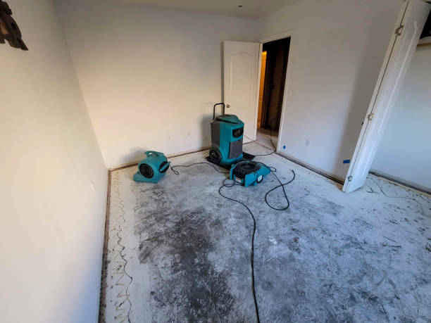 Best Water damage cleanup near me  in Bliss Corner, MA