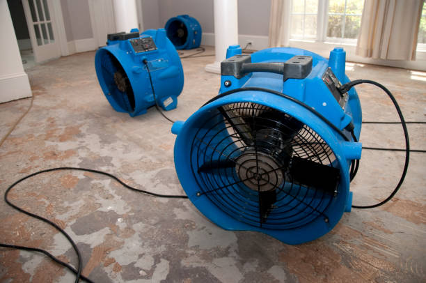 Water damage restoration insurance claims in Bliss Corner, MA