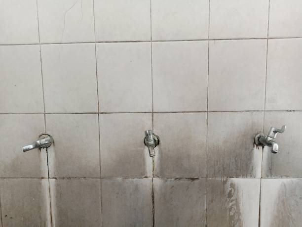 Best Fire Damage Restoration  in Bliss Corner, MA
