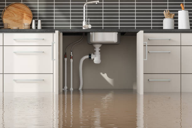 Best Flood damage cleanup  in Bliss Corner, MA