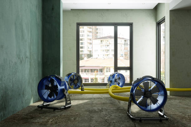 Best Water damage restoration near me  in Bliss Corner, MA